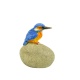 IJsvogel