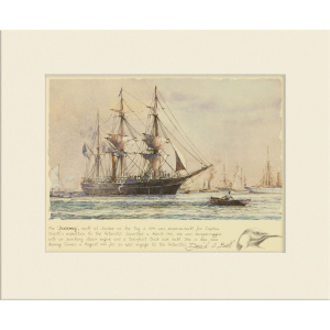 David Bell Discovery
