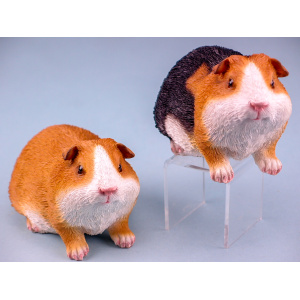 Cavia, 14cm, 2 assorti  per 6 verpakt