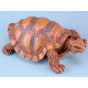 Schildpad, 13cm per 12 verpakt