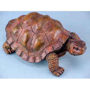 Schildpad, 16cm per 12 verpakt