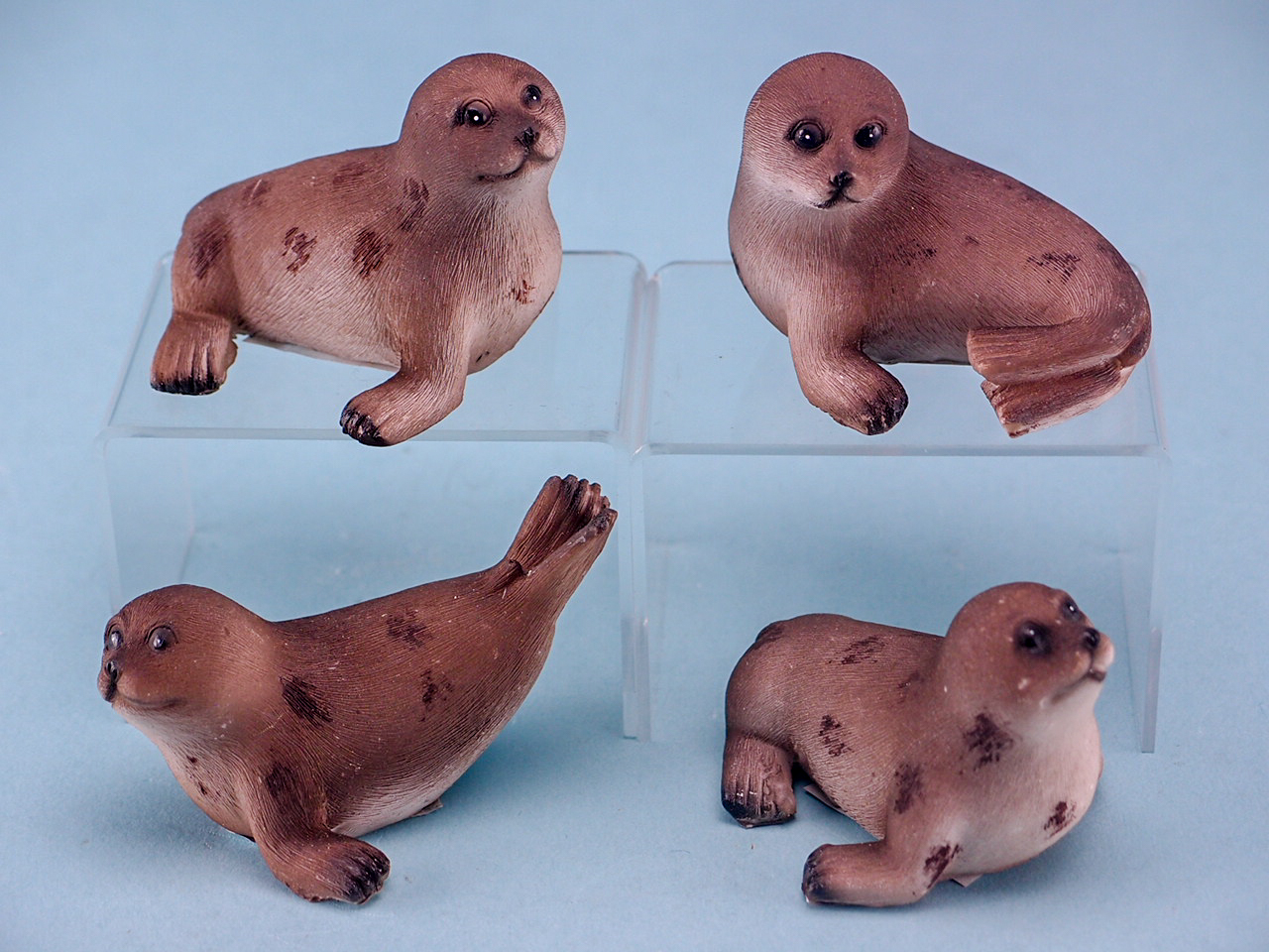 Zeehond Pups, 7cm, 4 assorti per 24 ver