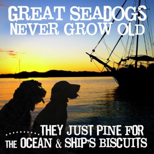 Ansichtkaart Seadogs Never Grow Old P.12