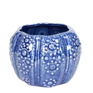 Zee-egel pot, blauw, 10cm P.4 st