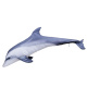 Kussen vismodel dolfijn 125 cm