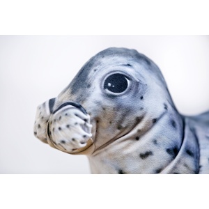 Kussen vismodel zeehond 55 cm