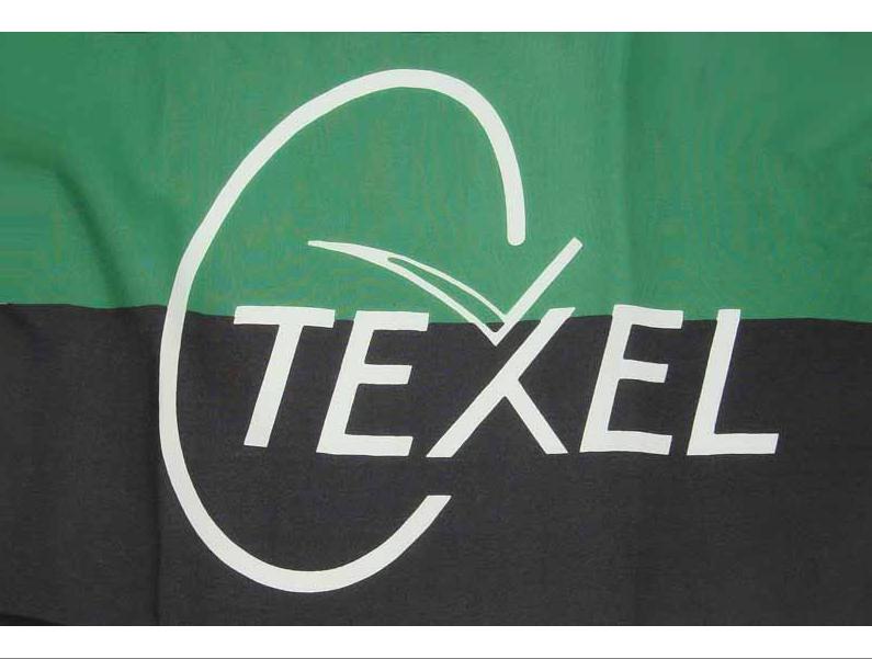 Vlag Texel  90x150 cm p.12